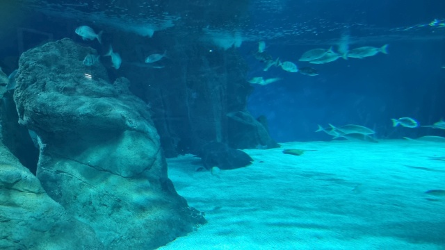 ../images/fotoalbum/lanzarote23/2023-09-18 10.37.04